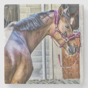 Paard bij Barn Stenen Onderzetter