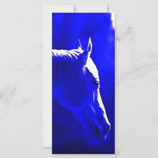 paard bij nacht - paard in maanlicht (Voorkant)