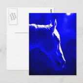 paard bij nacht - paard in maanlicht briefkaart (Voorkant / Achterkant)
