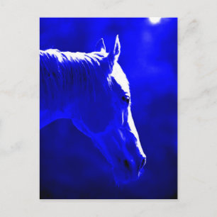 paard bij nacht - paard in maanlicht briefkaart