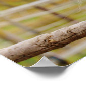 Paard bij poort poster (Hoek)