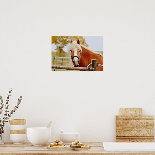 Paard bij poort poster (Keuken)