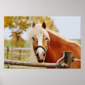 Paard bij poort poster (Voorkant)