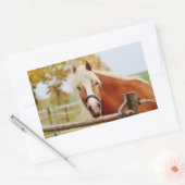Paard bij poort rechthoekige sticker (Envelop)
