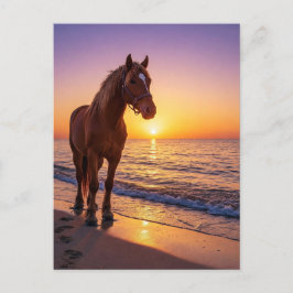 Paard bij zonsondergang op het strand Kustansichtk Feestdagenkaart