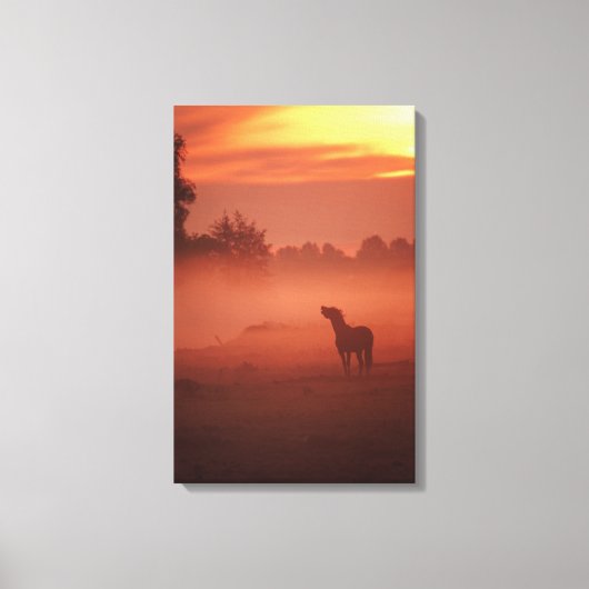 Paard bij zonsopgang canvas afdruk (Voorkant)