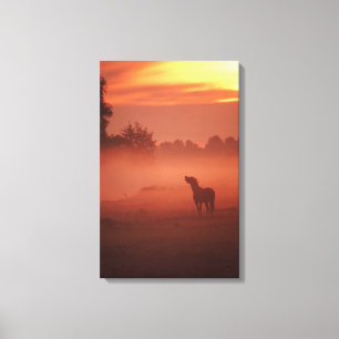 Paard bij zonsopgang canvas afdruk