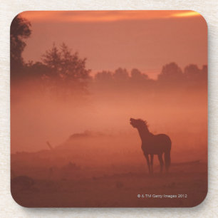 Paard bij zonsopgang onderzetter