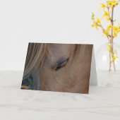 Paard blanco kaart sjabloon kaart (Gele Bloem)