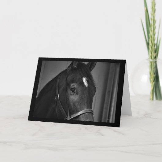 Paard blanco kaart sjabloon kaart (Voorkant)