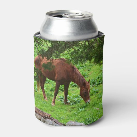 Paard Blikjeskoeler (Blikje Voorkant)