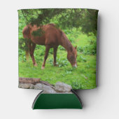 Paard Blikjeskoeler (Voorkant)