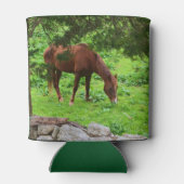 Paard Blikjeskoeler (Achterkant)