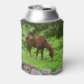 Paard Blikjeskoeler (Blikje Achterkant)