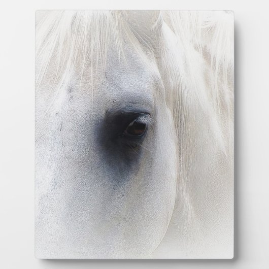 Paard & Bloemen Fotoplaat (Voorkant)