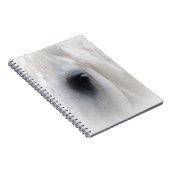 Paard & Bloemen Notitieboek (Rechterzijde)
