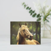 paard briefkaart (Staand voorkant)