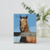 Paard Briefkaart (Staand voorkant)