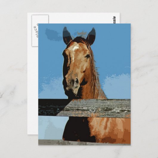 Paard Briefkaart (Voorkant / Achterkant)