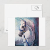 Paard Briefkaart (Voorkant / Achterkant)