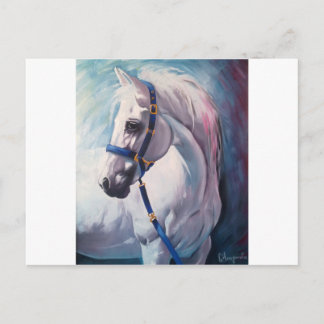 Paard Briefkaart