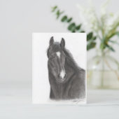 Paard Briefkaart (Staand voorkant)