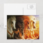 Paard Briefkaart (Voorkant / Achterkant)