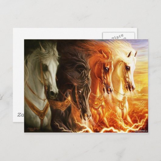 Paard Briefkaart (Voorkant / Achterkant)