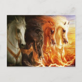 Paard Briefkaart (Voorkant)