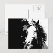 Paard Briefkaart (Voorkant / Achterkant)