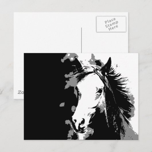 Paard Briefkaart (Voorkant / Achterkant)