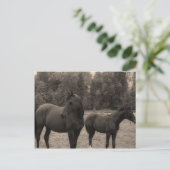 paard briefkaart (Staand voorkant)