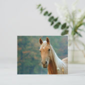 Paard Briefkaart (Staand voorkant)