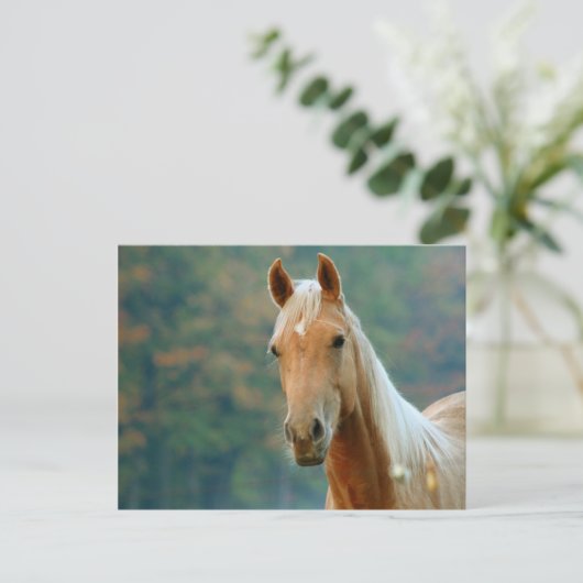 Paard Briefkaart (Staand voorkant)