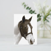Paard Briefkaart (Staand voorkant)