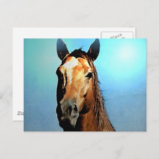 Paard Briefkaart (Voorkant / Achterkant)