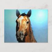 Paard Briefkaart (Voorkant)