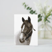Paard Briefkaart (Staand voorkant)