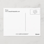 Paard Briefkaart (Achterkant)