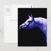 Paard Briefkaart (Voorkant / Achterkant)