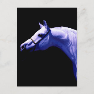 Paard Briefkaart