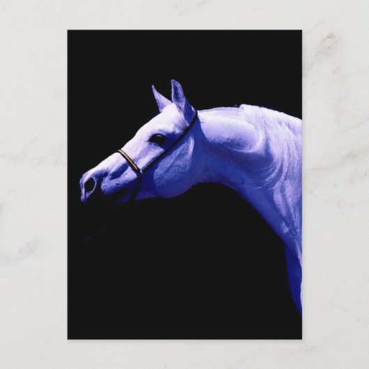 Paard Briefkaart (Voorkant)