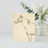 Paard Briefkaart (Staand voorkant)