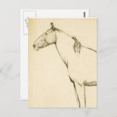 Paard Briefkaart (Voorkant / Achterkant)