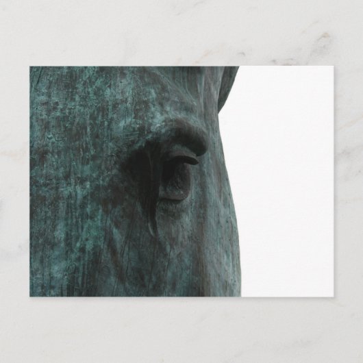 Paard Briefkaart (Voorkant)