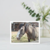 paard briefkaart (Staand voorkant)