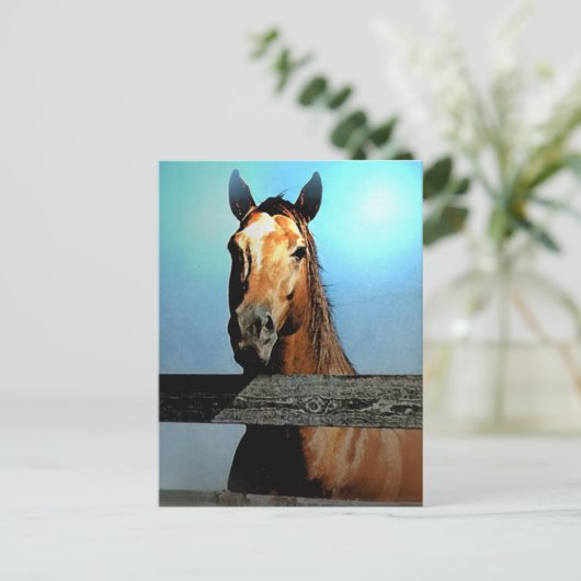 Paard Briefkaart (Staand voorkant)