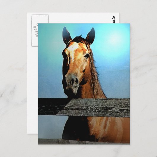 Paard Briefkaart (Voorkant / Achterkant)