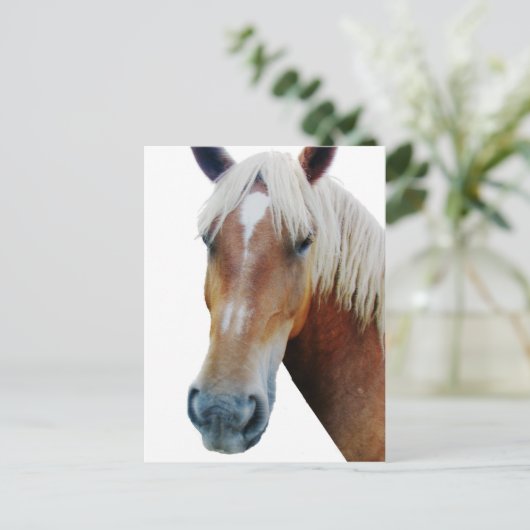 Paard Briefkaart (Staand voorkant)