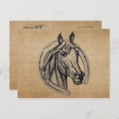  paard briefkaart (Voorkant / Achterkant)